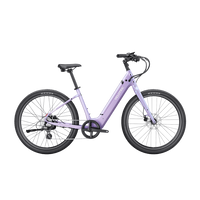 variantID:B1_VioletHaze_ads