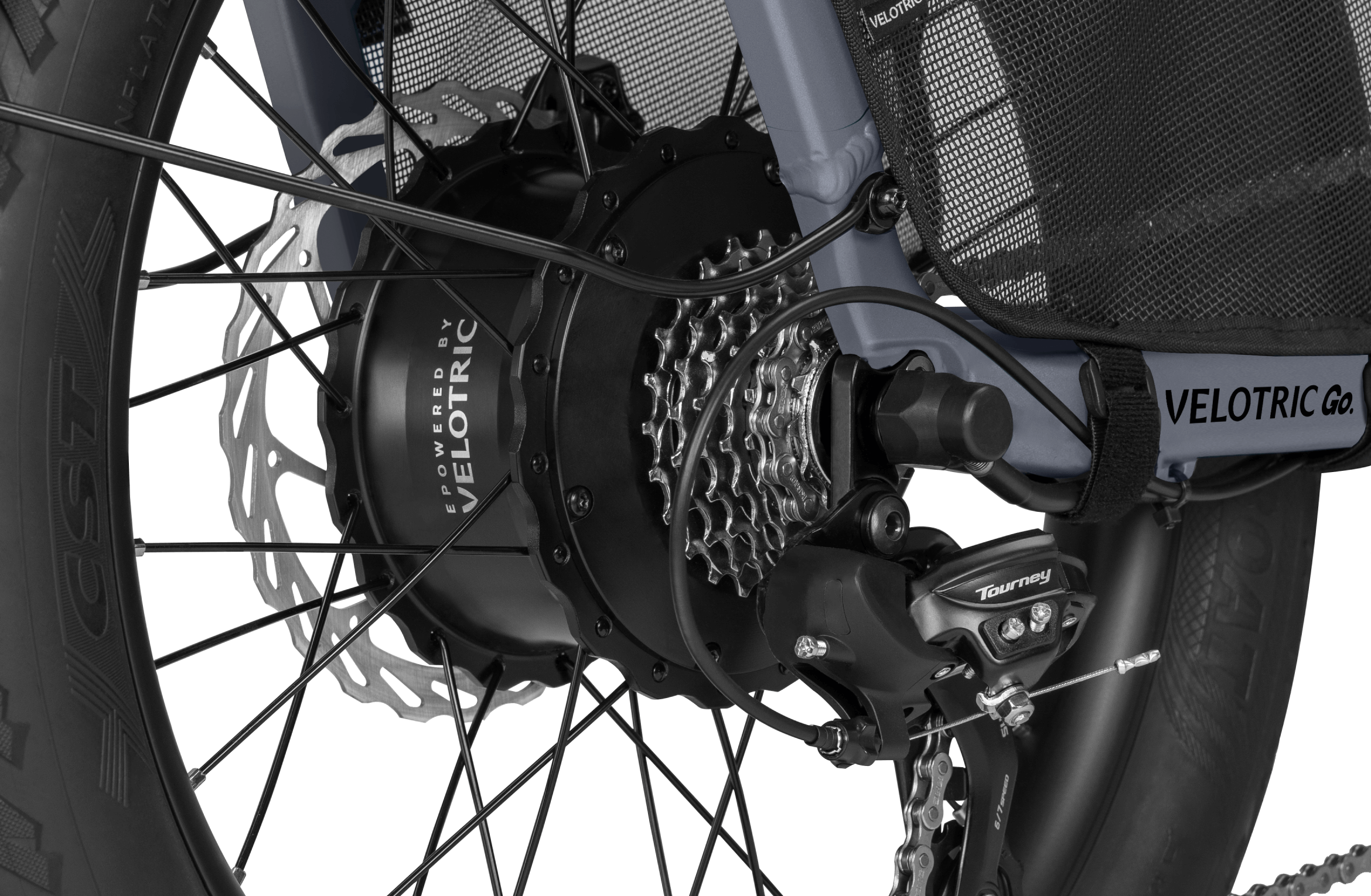 variantID:41850583482551