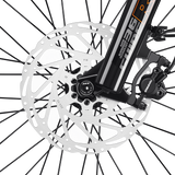 Velotric GoMad Ebike