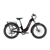 variantID:N2X_ST_fig_ads