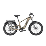 variantID:n2x_hs_multicam_ads